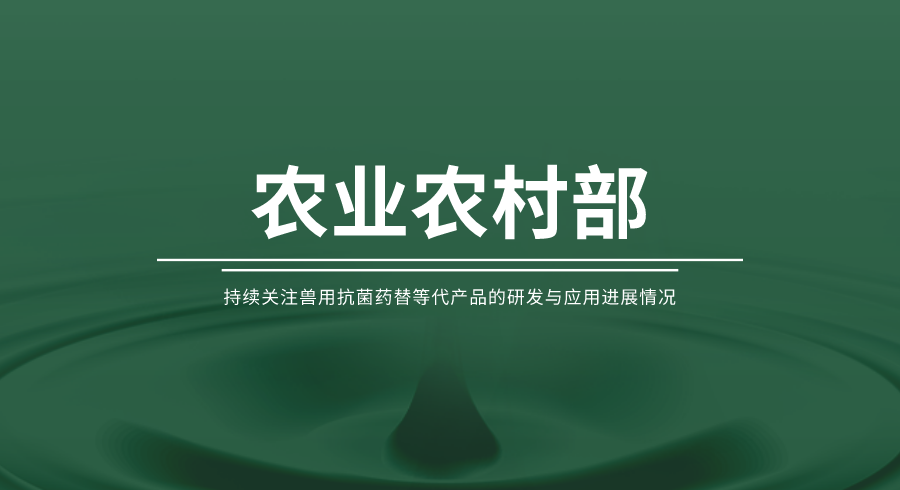 农业农村部：持续关注兽用抗菌药替等代产品的研发与应用进展情况