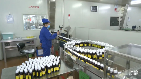 贵州药企开足马力生产，加大重点药物市场供给